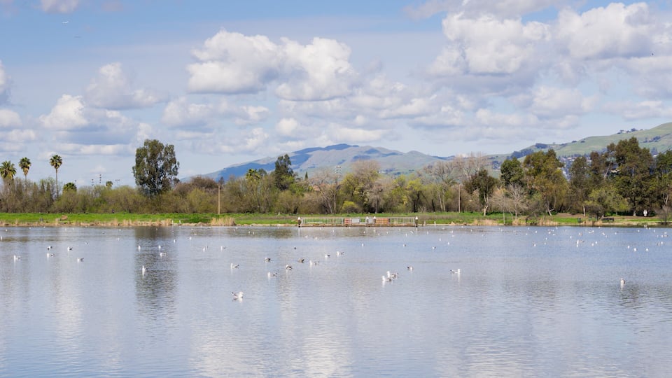 Cunningham Lake on a sunny day, San Jose, south San Francisco bay area, California