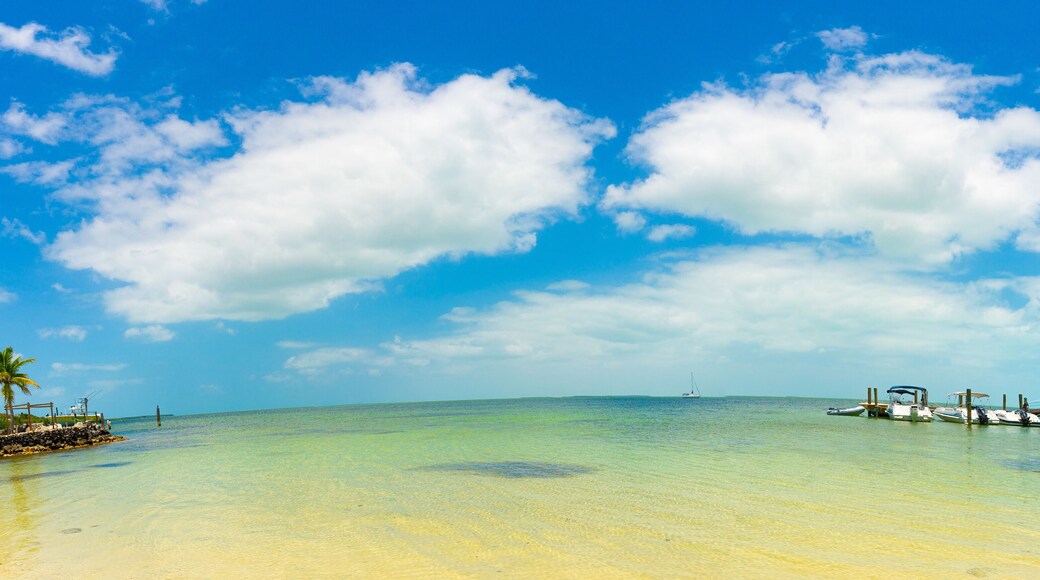 ฮอลิเดย์โคฟ