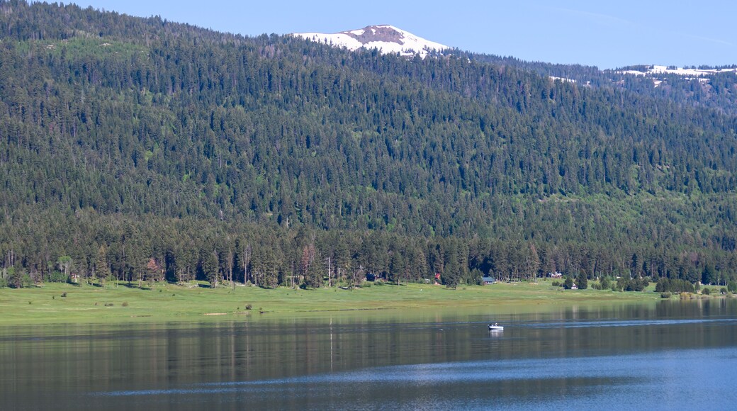 Panoramic View of a Summer Mountain Lake