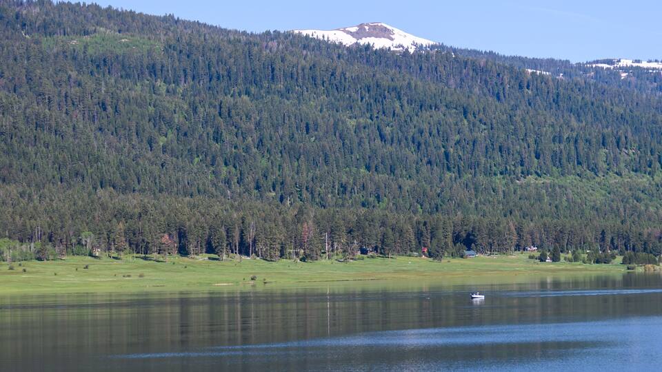 Panoramic View of a Summer Mountain Lake