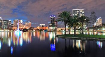 Lawsona - Fern Creek