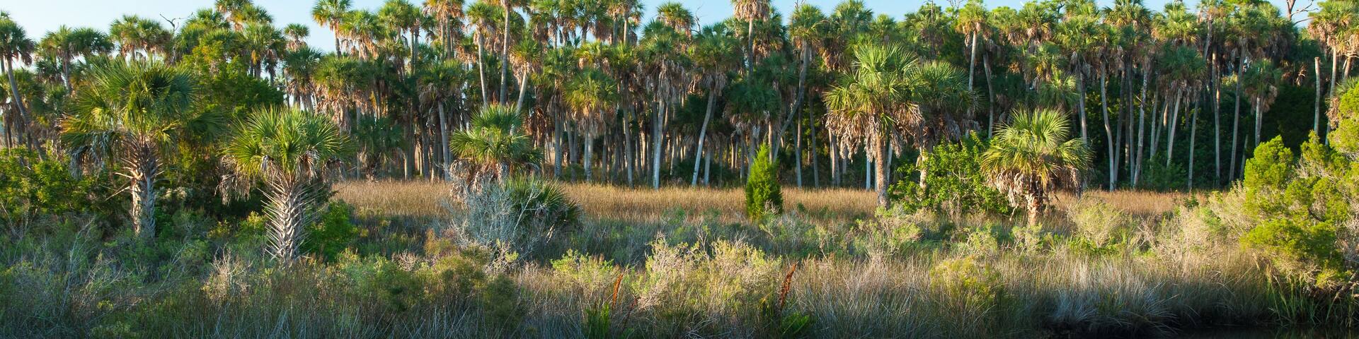 Coastal Scenery near Spring Hill, Florida