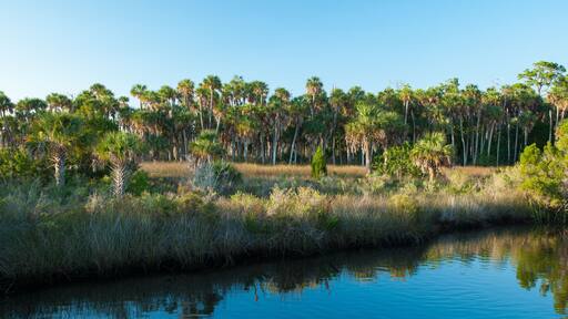 วีกี วาชี การ์เด้นส์