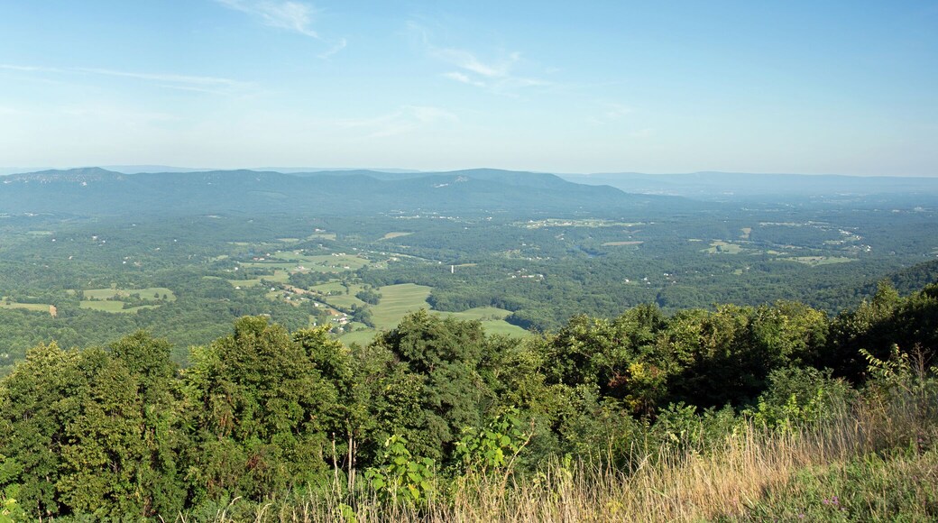 บูนส์โบโร