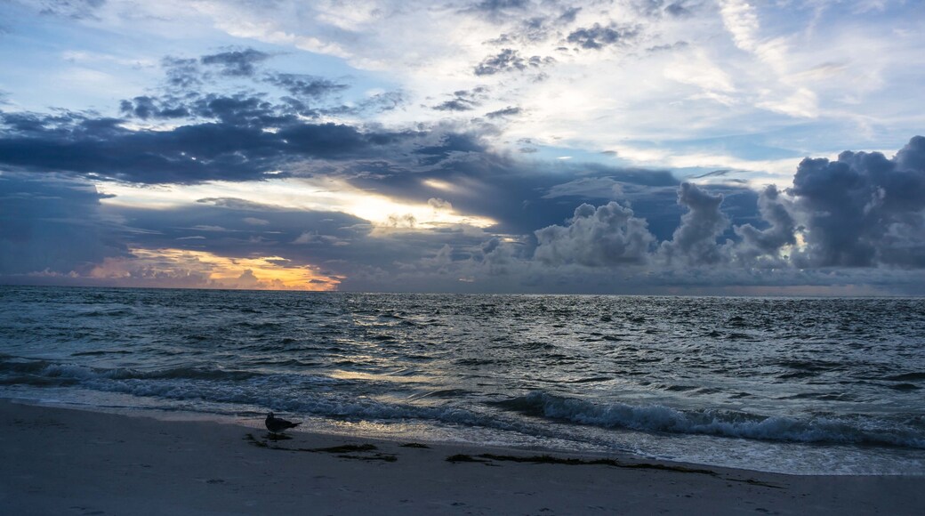 Treasure Beach Village