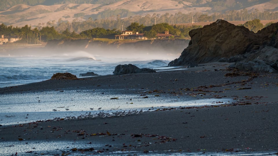 Early morning along the Pacific Coast of California at Leffingwell Landing State Park, looking toward the hills of San Simeon, not far from the Hearst Castle, a famous tourist attraction.