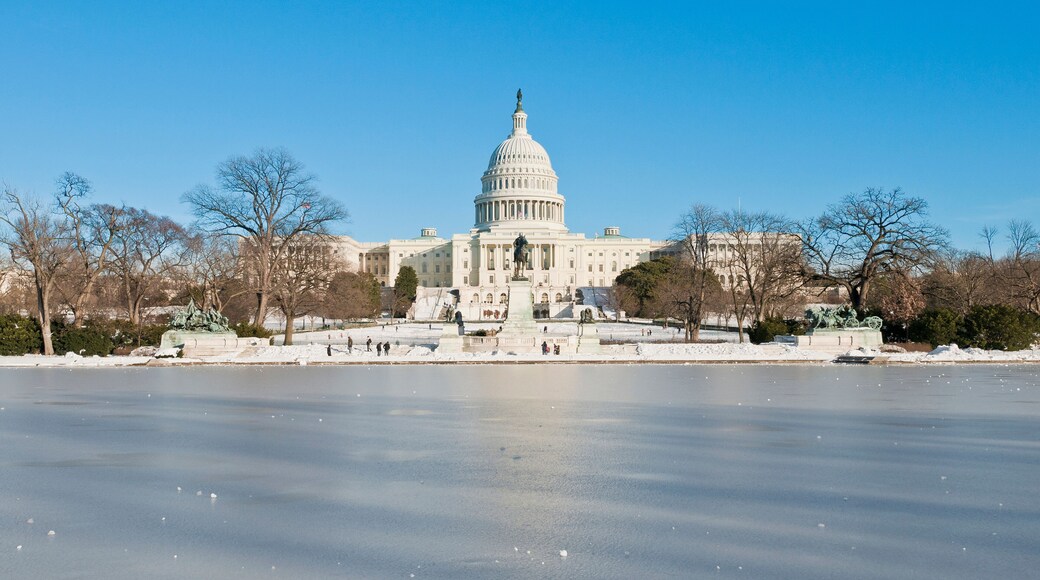 The White House building at The Mall in DC, USA