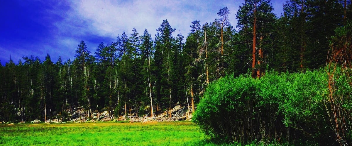 Super legit meadow not far off highway 89. Big meadow trail head on the way to multiple lakes. Really relaxing spot. #tahoe