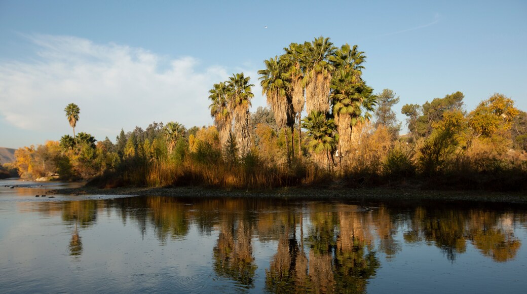 โอลีอันเดอร์ - ซันเซ็ต