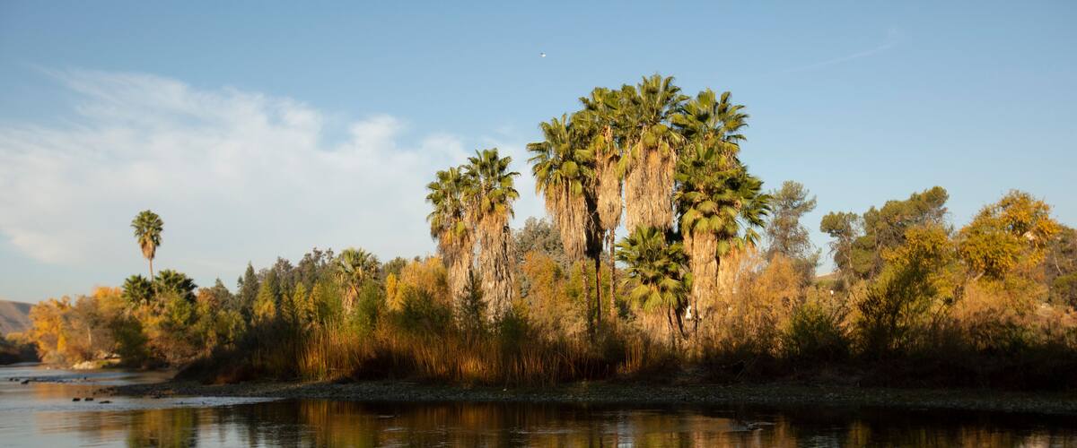 Autumn morning view of the Kern River as it flows through Bakersfield, California, USA.