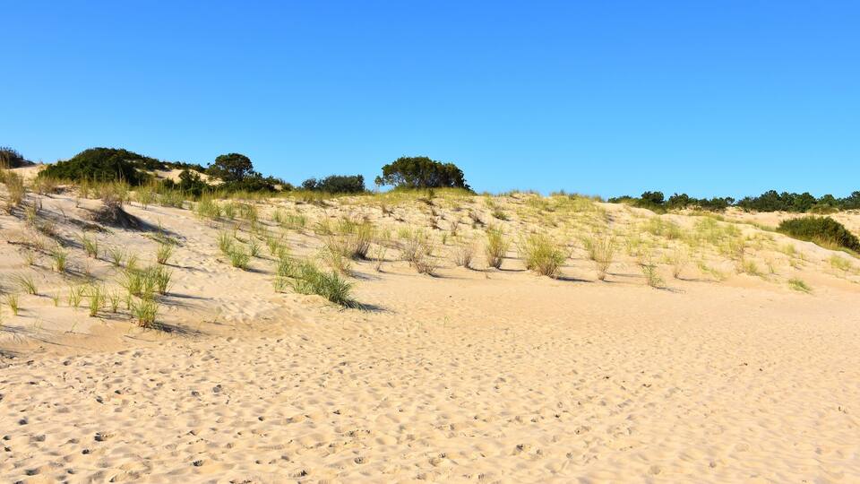 Jockey's Ridge State Park, North Carolina