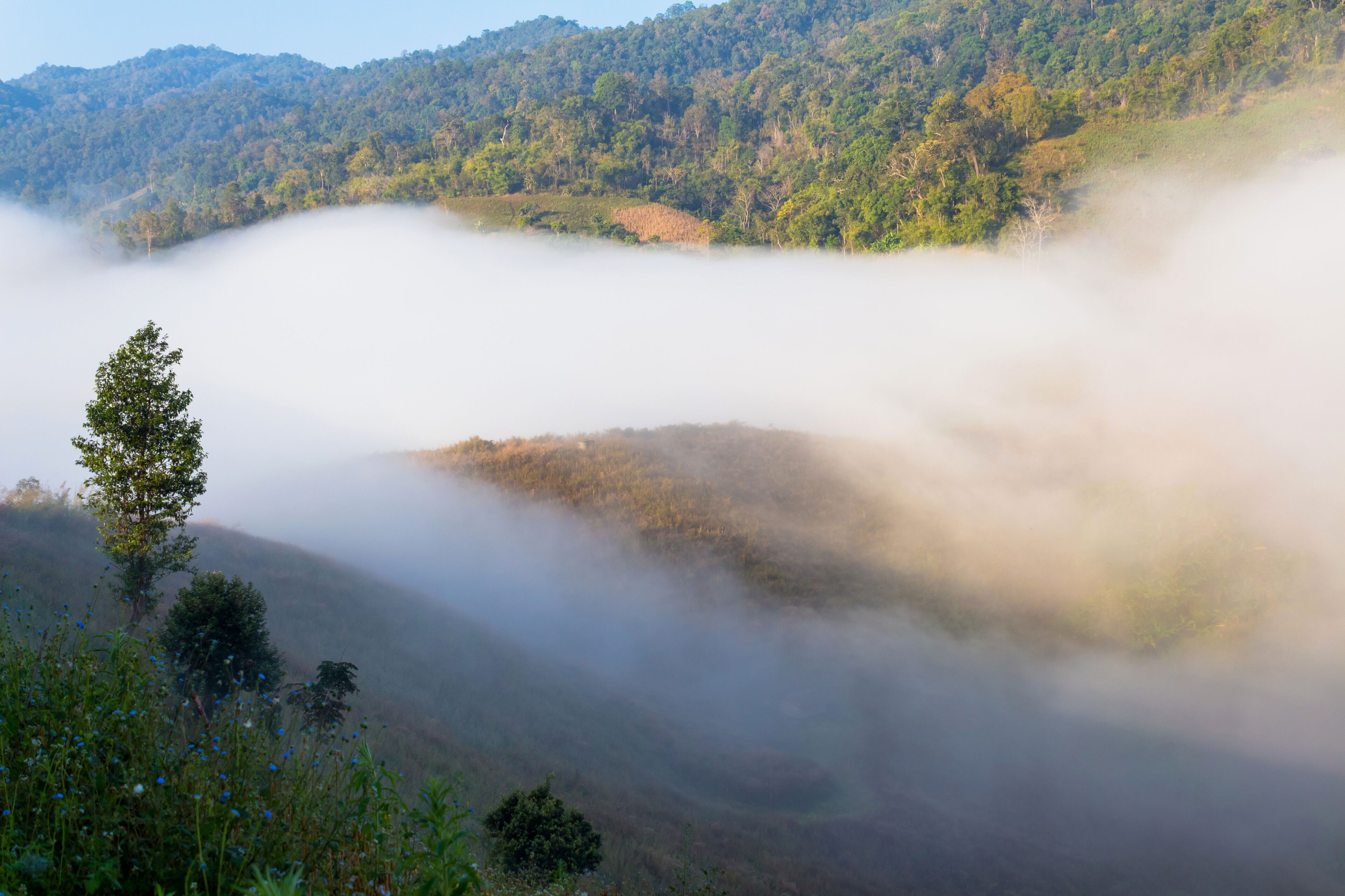 Fog path through the mountain farm uphill to the sky at morning time.