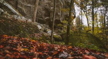 Fall at Honey Creek Loop Trail at Big South Fork National Recreation Area in central Tennessee