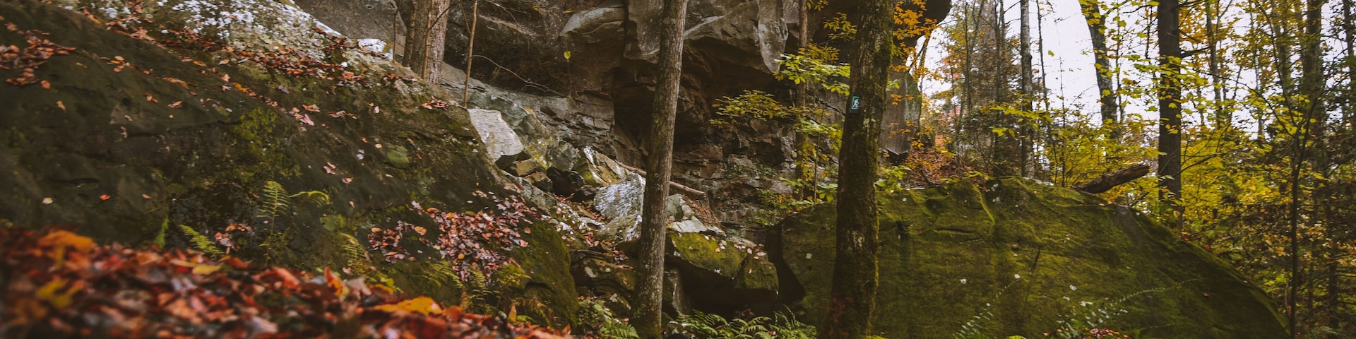 Fall at Honey Creek Loop Trail at Big South Fork National Recreation Area in central Tennessee