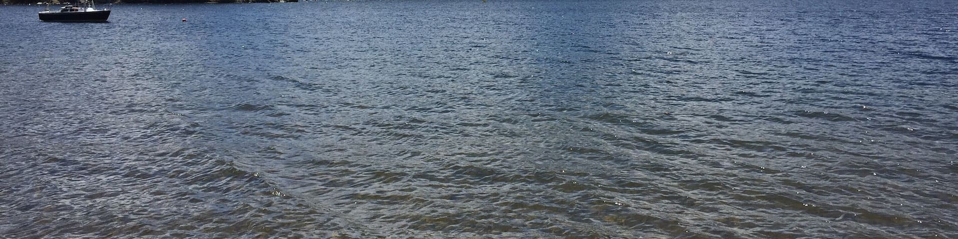 sailing regatta at Huntington Lake, Ca