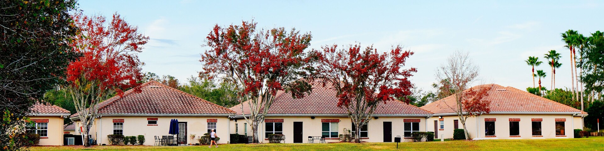 Wesley Chaple, Florida, USA, 12 10 2024: The winter foliage landscape of a beautiful community at Wesley Chapel, north of Tampa in Florida