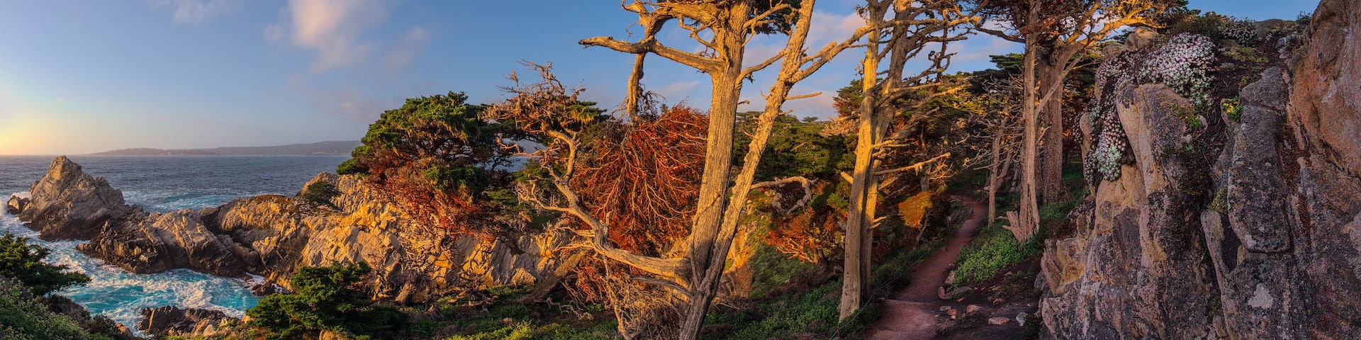 Pt Lobos stepping stone path