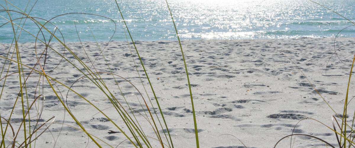 Tropical white sand beach on the gulf coast of Florida near St. Petersburg