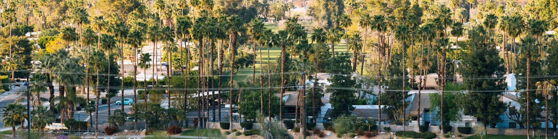 View of Palm Springs from the Araby Hiking Trail, in Palm Springs, California