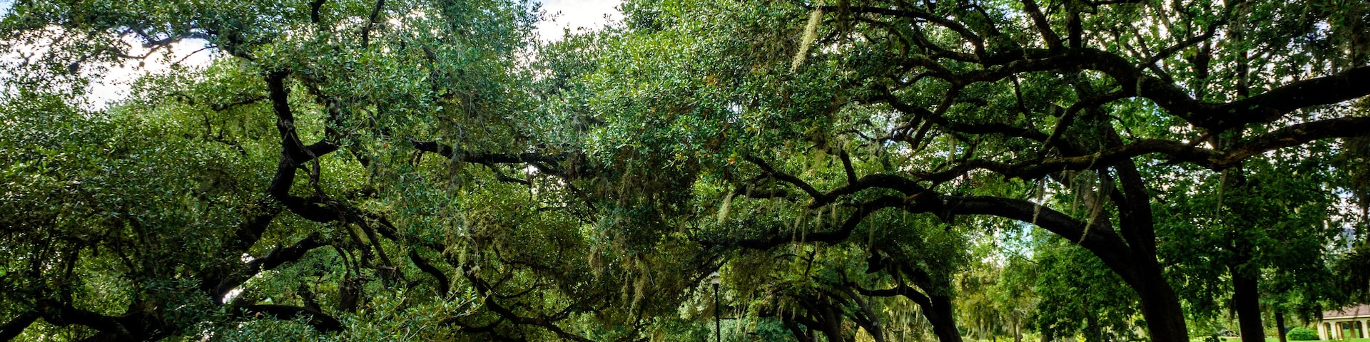 Beautiful park in Houston. Texas. United States