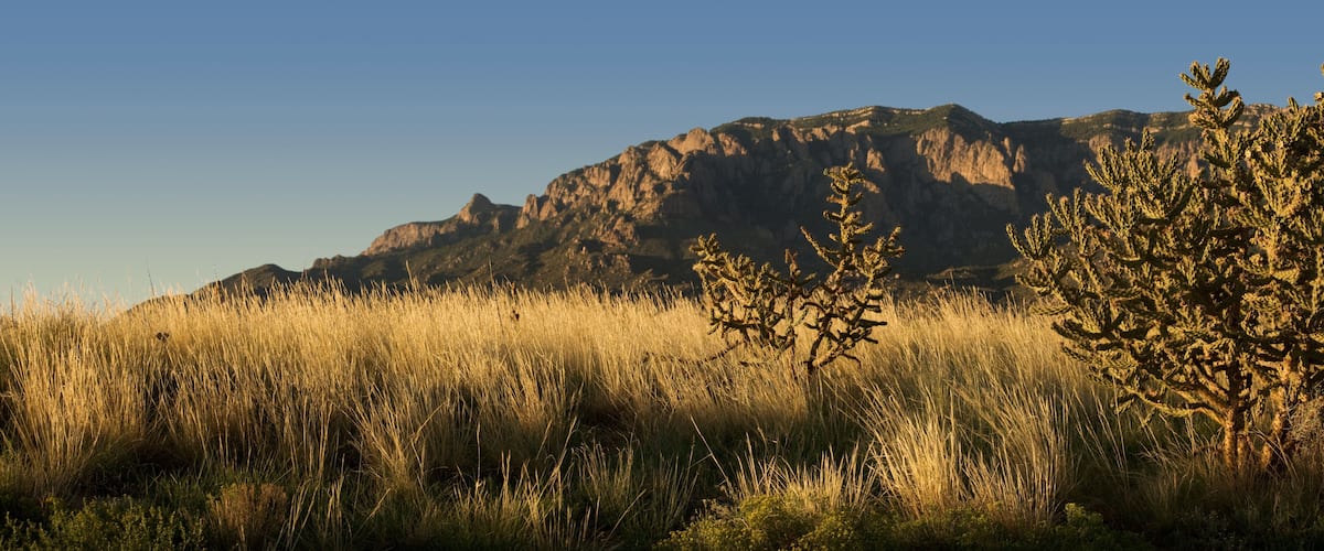 Sunset over New Mexico desert and the Sandia Mountains, outside of Albuquerque