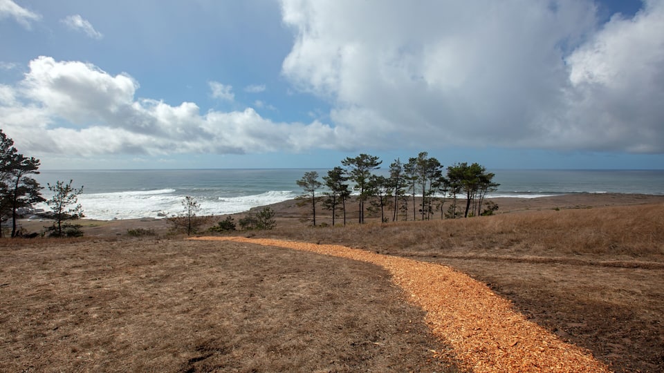 Marine Terrace Trail at Fiscalini Ranch Preserve on the Rugged Central California coastline at Cambria California United States