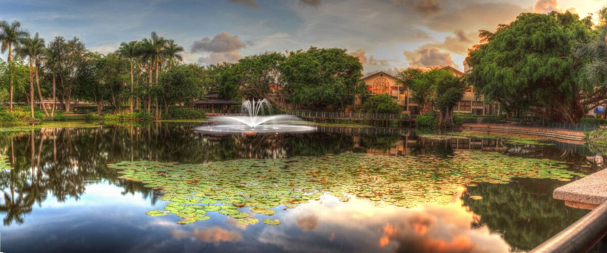 Overlooking a pond at sunset at the Garden of Hope and Courage
