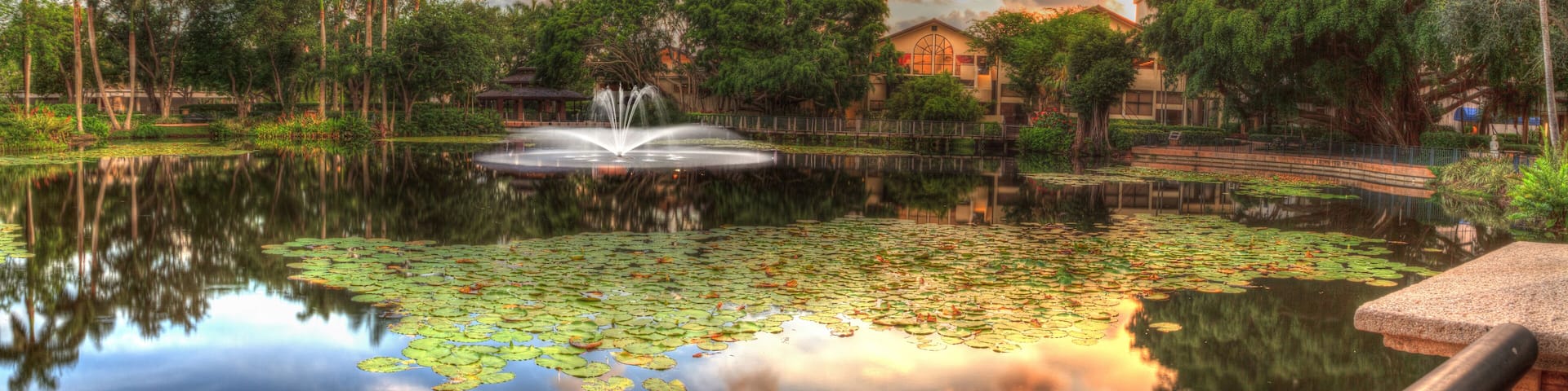 Overlooking a pond at sunset at the Garden of Hope and Courage