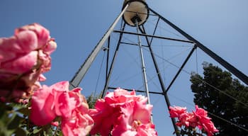 Centro de la ciudad de Campbell