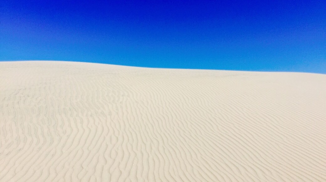 #blue
The South Padre Island Drive stretches beautifully with the ocean on one side and the bay on the other. These sand dunes line the road and look beautiful against the blue sea!!