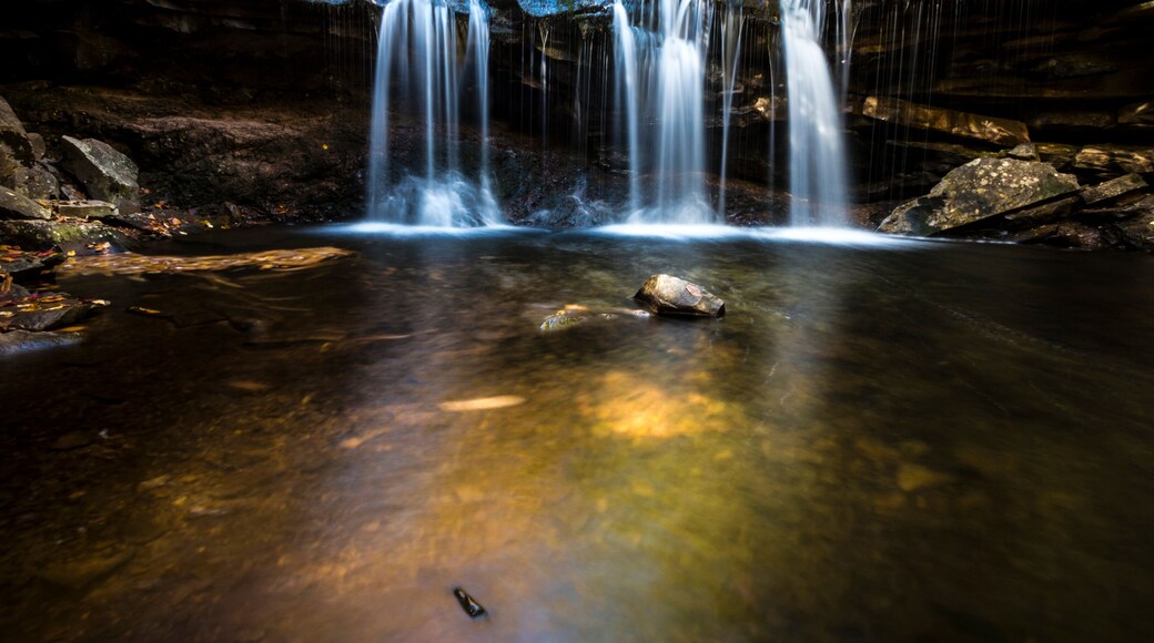 dramatic autumn landscape photo taken in Swallow Falls State Park in Western , Maryland.