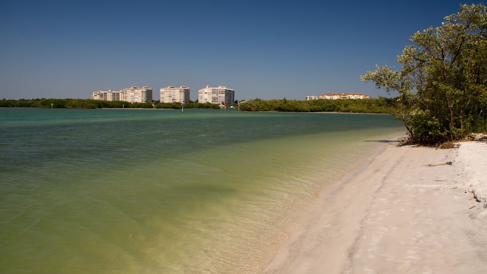 einsamer Strand in einer Lagune in Fort Myers