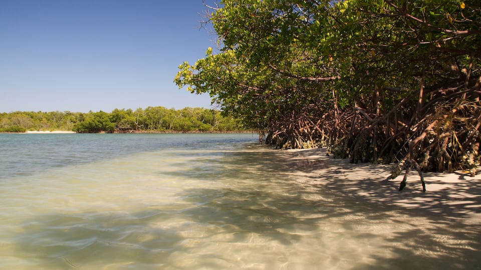 einsamer Strand in einer Lagune in Fort Myers