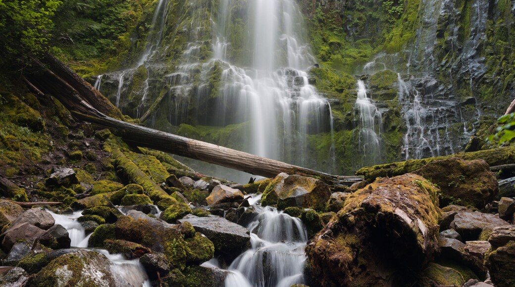 Proxy Falls Near Sisters Oregon