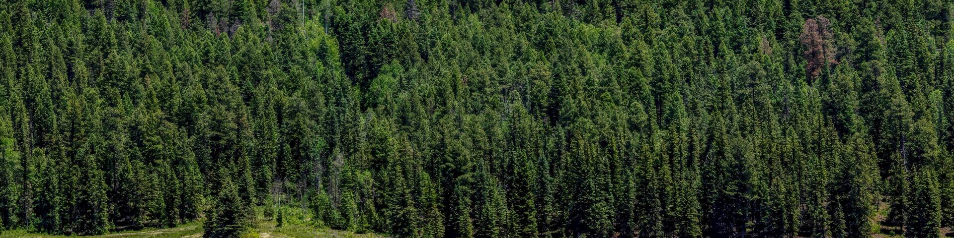 Moon Rising over Williams Reservoir in Colorado