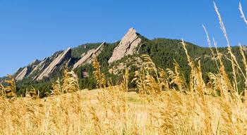 Panoramic view of the jagged peaks of the Flatirons mountains and Chautauqua Park meadow in autumn golden colors in front of the surrounding pine forest in Boulder, Colorado