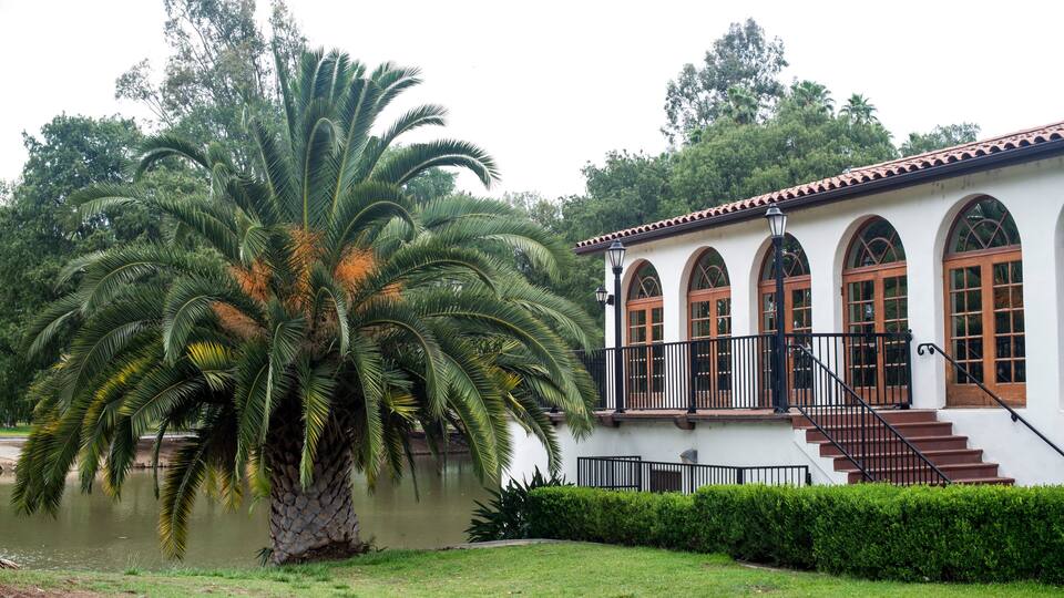 palm trees in front of the boathouse in Fairmount park, Riverside