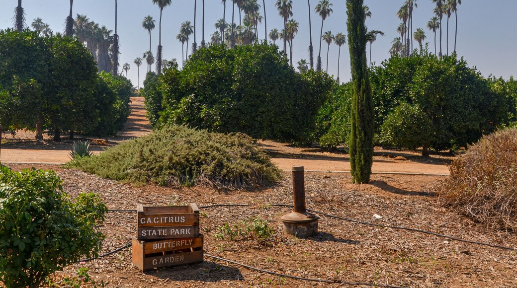 キャニオンクレスト