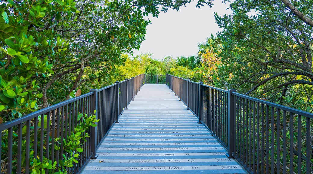 แกรนด์ ฮาร์เบอร์