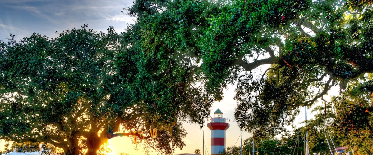 A marina with boats, a lighthouse, and a large tree with sunlight filtering through its leaves.