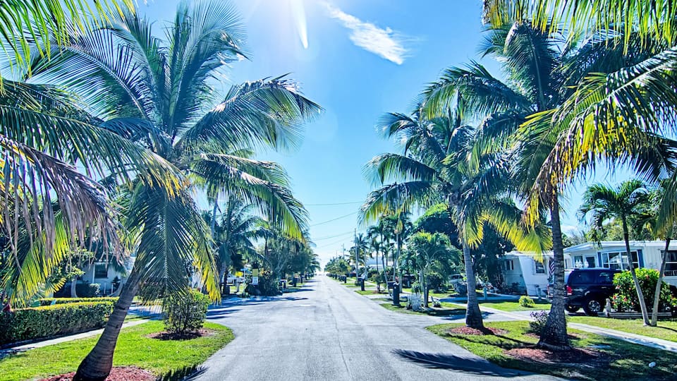 way to the beach with palm trees in key west florida