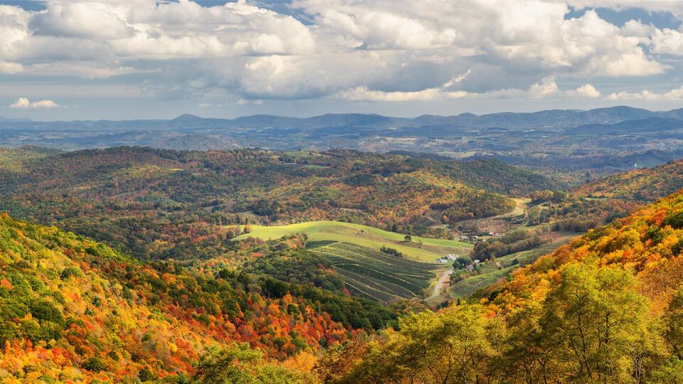 Autumn at Grayson Highlands State Park Virginia