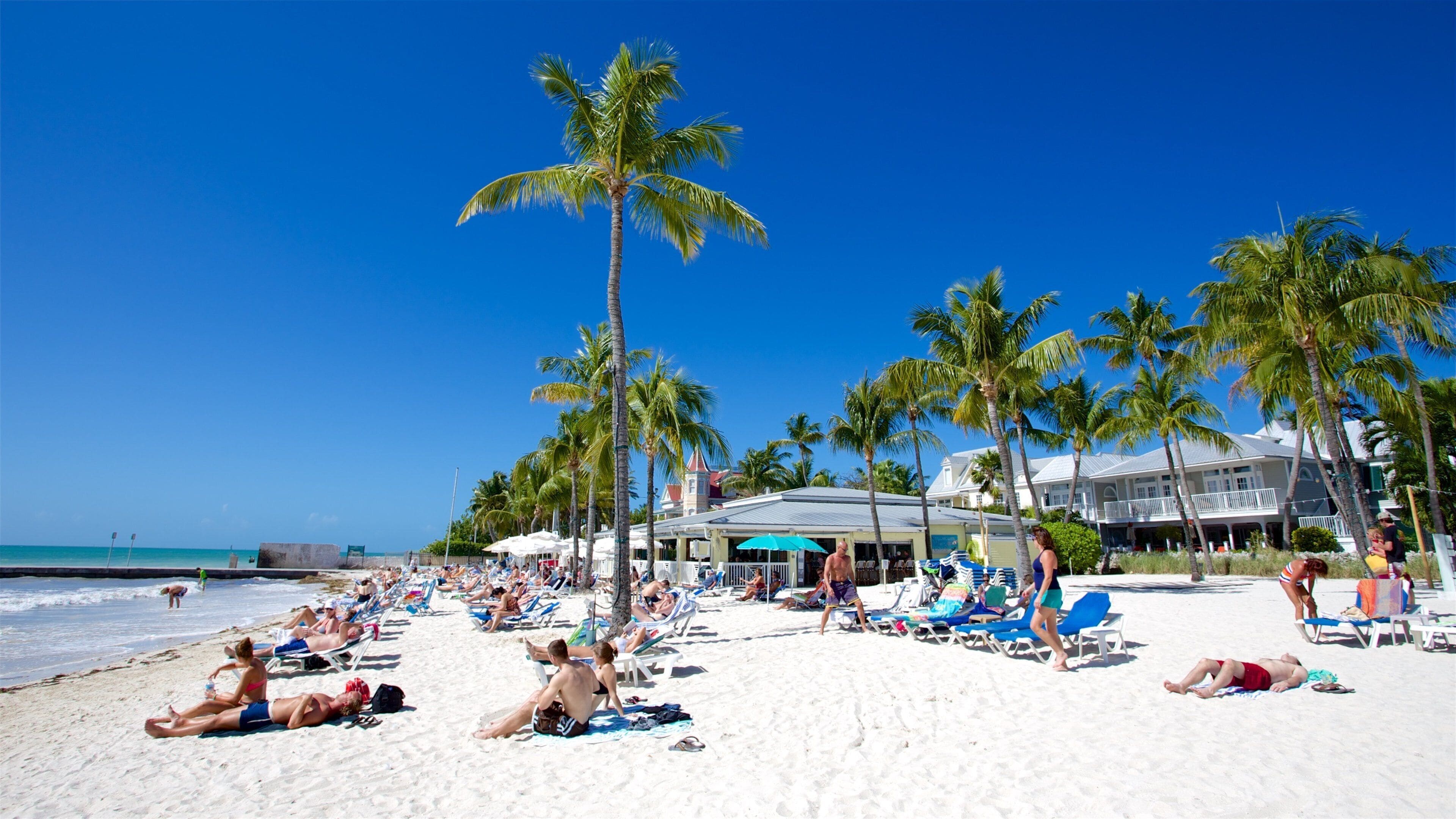 Florida Keys featuring a sandy beach, tropical scenes and general coastal views