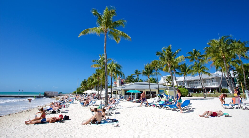Florida Keys featuring a sandy beach, tropical scenes and general coastal views