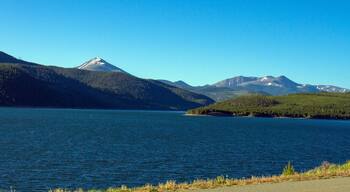 วิลโลว์บรู๊ค เมโดว์ส