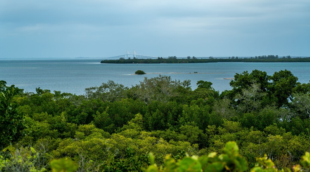 A look around Emerson Point Preserve and a beautiful sunset over Tampa Bay.