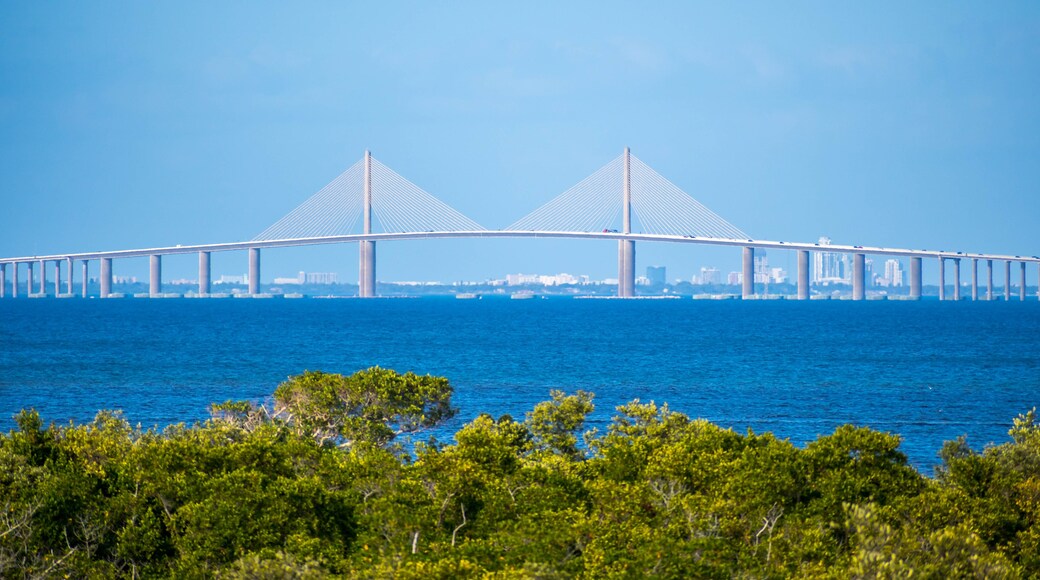 The Bob Graham Sunshine Skyway Bridge in Brandeton, Florida
