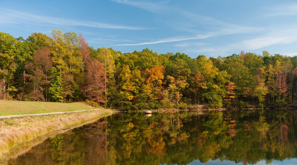 มิเรอร์เลค