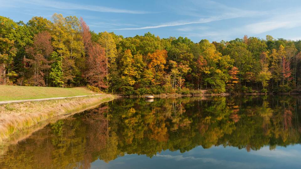 Panoramic view at the lake and forest in a fall