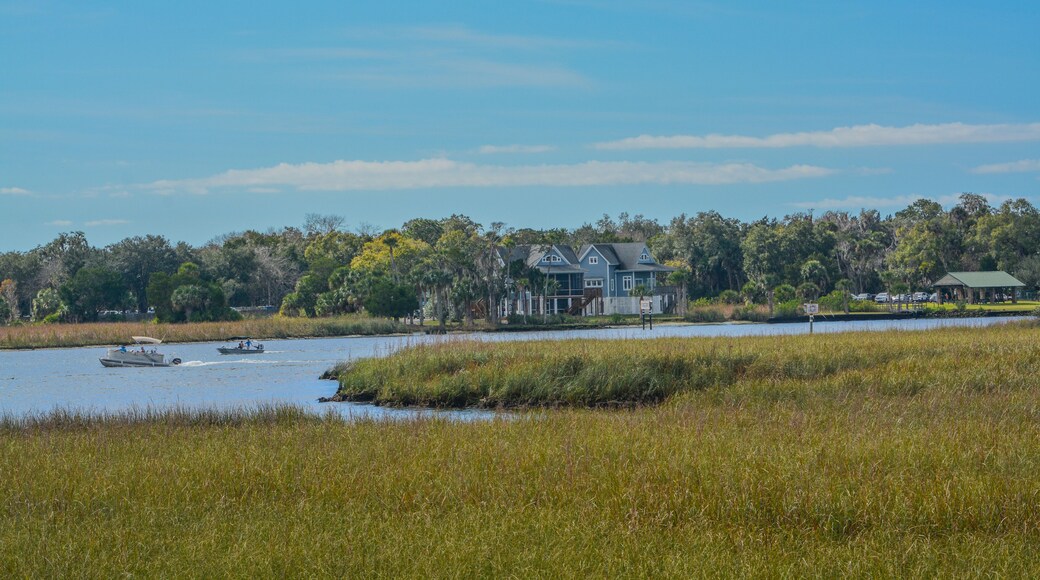Crystal River has natural springs feeding it. Crystal River Preserve State Park is in Citrus County, Florida